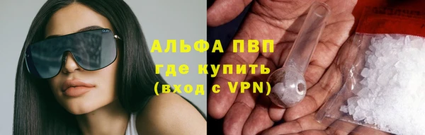 ешки Богданович