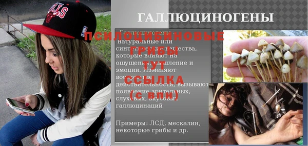ешки Богданович