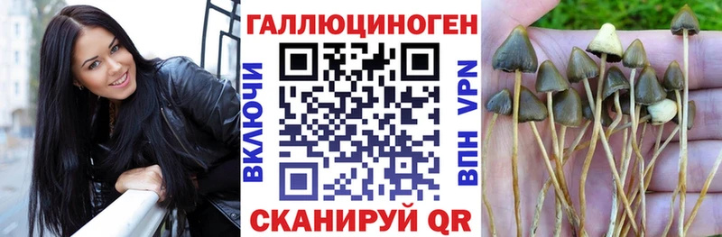 Галлюциногенные грибы Cubensis Купить где Почеп