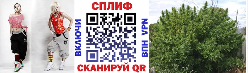 Шишки марихуана VHQ  Купить закладки  Почеп 